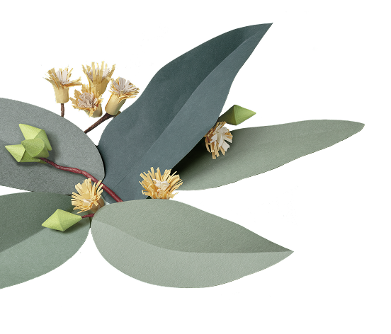 Ovata Knoxfield Flower Design