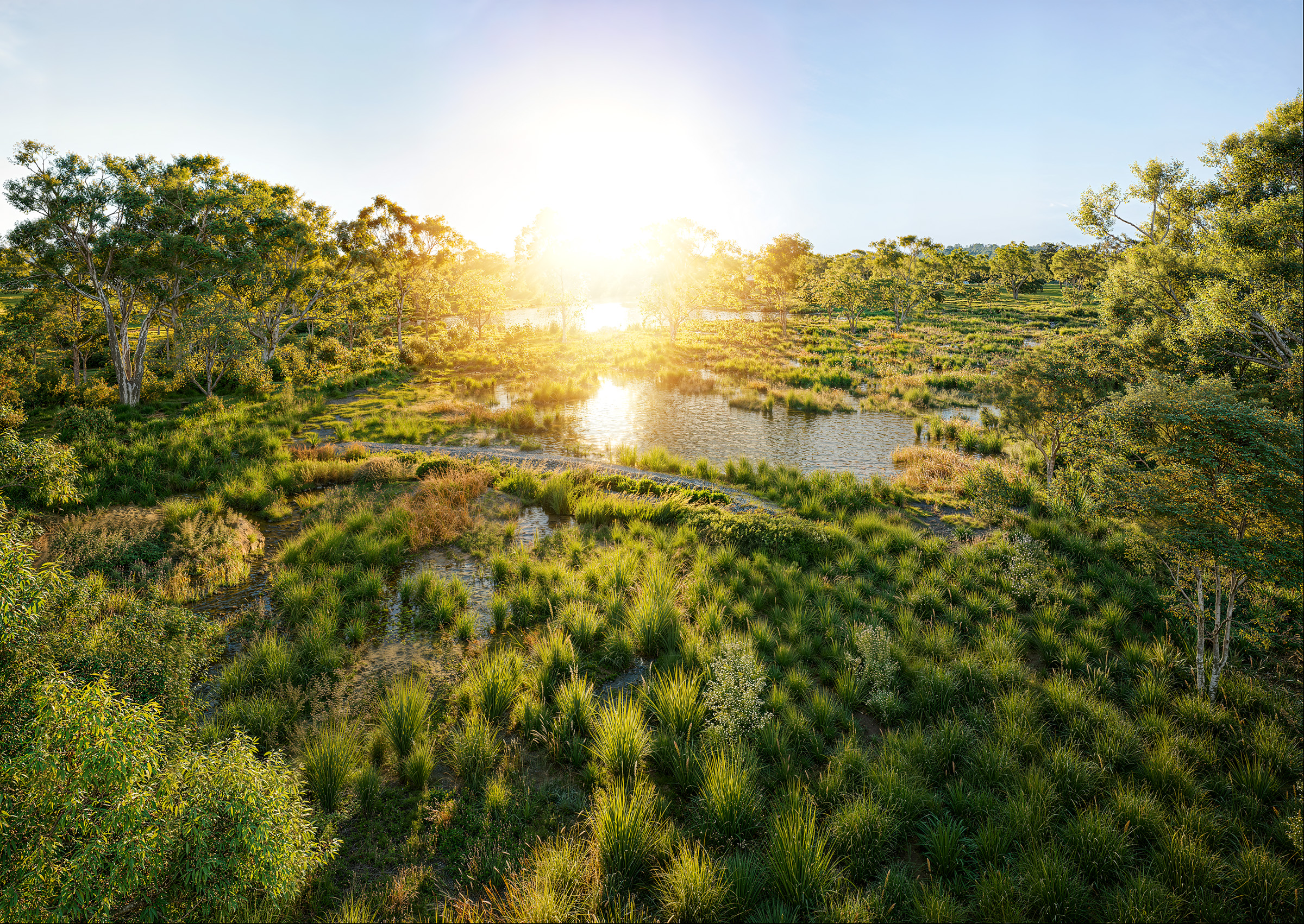 OVATA WETLANDS
